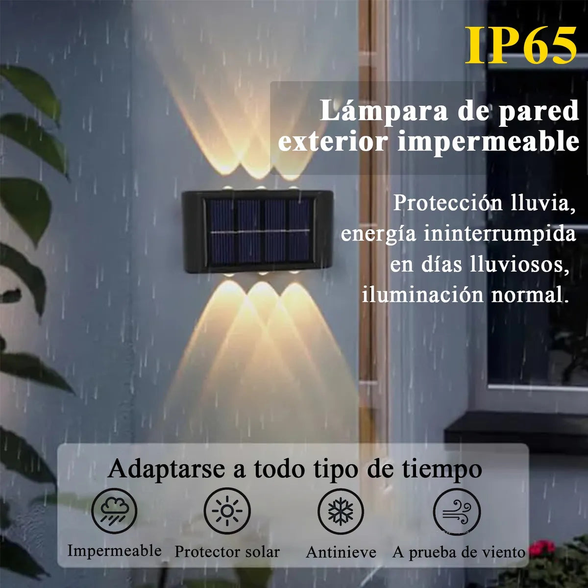 Wall Light PRO